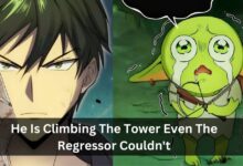 He Is Climbing The Tower Even The Regressor Couldn't - Complete Guidebook!