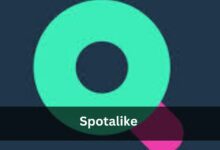 Spotalike - Everything You Need To Know!