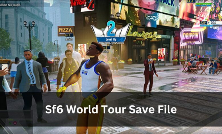 Sf6 World Tour Save File