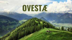 Why Should You Care About Ovestæ